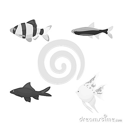 Angelfish, common, barbus, neon.Fish set collection icons in monochrome style vector symbol stock illustration web. Vector Illustration