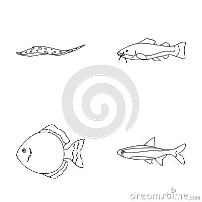 Angelfish, common, barbus, neon.Fish set collection icons in outline style vector symbol stock illustration web. Vector Illustration