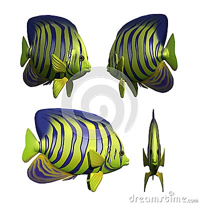 Angelfish Stock Photo