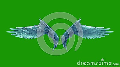 Angels Flapping Wings Loop Green Screen 3D Renderings Animations Stock  Footage - Video of alpha, feathered: 171820656