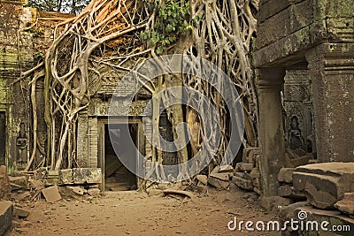 Angkor Wat Stock Photo