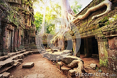 Angkor Wat Cambodia. Ta Prohm Khmer ancient Buddhist temple Stock Photo