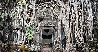 Angkor Wat Cambodia. Ta Prom Khmer ancient Buddhist temple Stock Photo