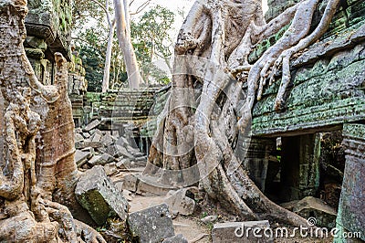 Angkor wat 36 Stock Photo