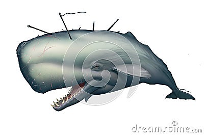 Big sperm albino monster whale realistic illustration isolated. Cartoon Illustration