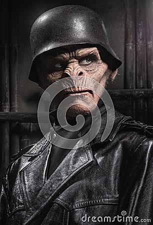 Angry baboonish man in black clothes Stock Photo