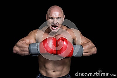 Angry bald boxer with punching gloves Stock Photo