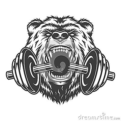 Angry bear head bites dumbbell Vector Illustration