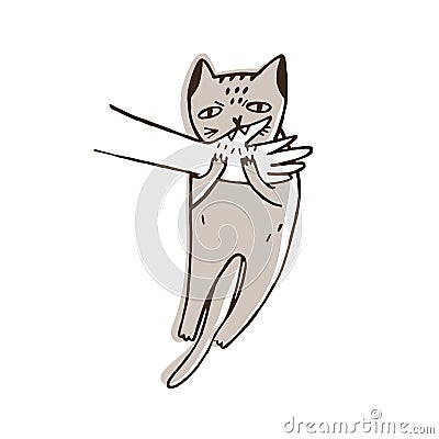 Angry cat biting hand of its owner isolated on white background. Aggressive, evil or furious kitty. Problem of Vector Illustration