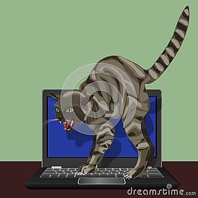 Angry cat on a laptop Vector Illustration