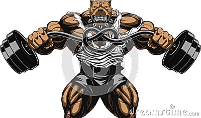 Angry dog bodybuilder Vector Illustration