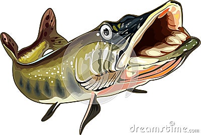 Angry fish Stock Photo