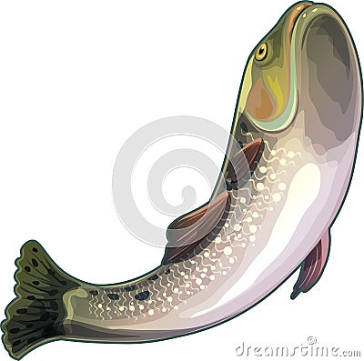 Angry fish from the sea Stock Photo