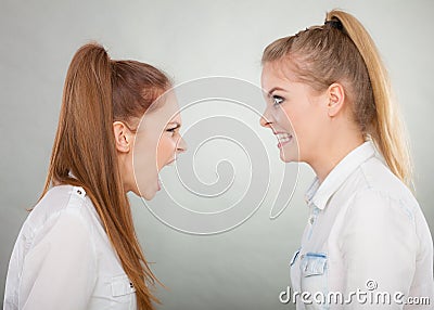 Angry fury girls screaming at each other Stock Photo
