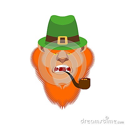 Angry leprechaun face. mad Red-bearded dwarf. St.Patricks Day. Irish traditional holiday. Folk Cultural Festival in Ireland Vector Illustration
