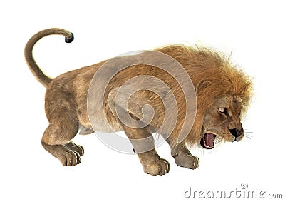 Angry Lion Stock Photo