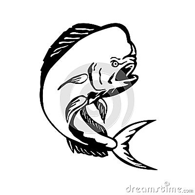 Angry Mahi-mahi Dorado Dolphinfish Jumping Etching Black and White Vector Illustration