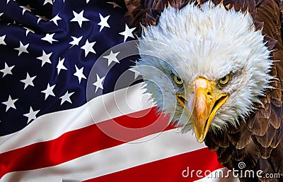 Angry north american bald eagle on american flag Stock Photo