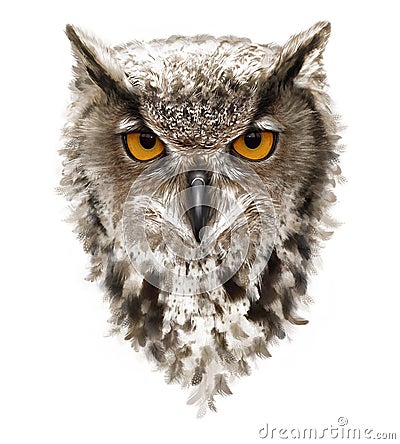 Angry owl with ears and yellow eyes, feathers Stock Photo