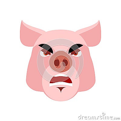 Angry pig. Evil boar. grumpy hog. Aggressive piggy Vector Illustration
