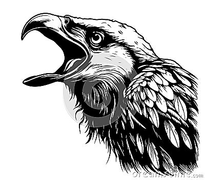 Angry raven head sketch hand drawn Vector illustration Wild birds Vector Illustration