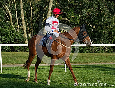 Angus Villiers, Horse racing jockey. Down at the start. Editorial Stock Photo