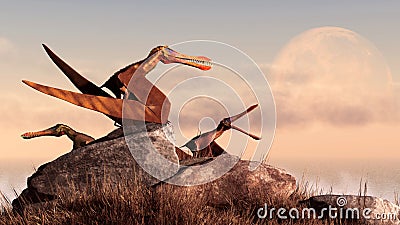 Anhanguerii Pteranodons Stock Photo