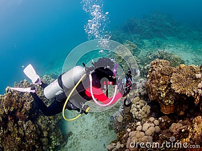 Scuba diver doing underwater photography in Anilao Philippines Editorial Stock Photo