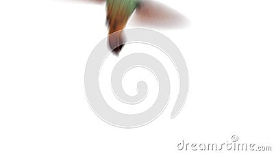 Animaciones divertidas con el pájaro del tarareo stock de ilustración Animaciones divertidas con el pájaro del tarareo stock de ilustración
