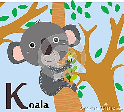 Animal alphabet for the kids: K for the Kolala Vector Illustration