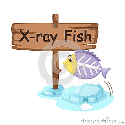 Animal alphabet letter X for x-ray fish Vector Illustration