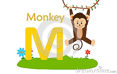 Animal alphabet M.M for monkey Vector Illustration