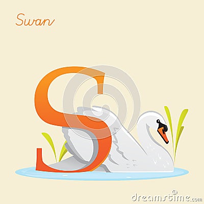 Animal alphabet with swan Vector Illustration