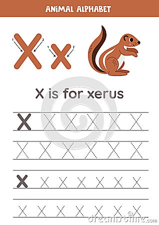 Tracing alphabet letters for kids. Animal alphabet. x is for xerus. Vector Illustration