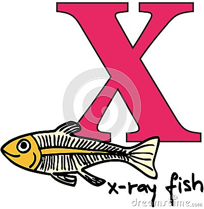 Animal alphabet X (x-ray fish) Stock Photo