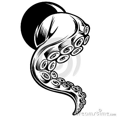 Octopus Outline Drawing Vector illustrtion Vector Illustration