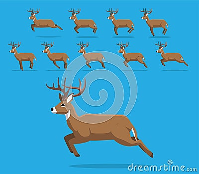 Animal Animation Sequence White-Tailed Deer Cartoon Vector Vector Illustration