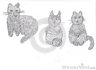 Animal art beautiful cat characters adult Stock Photo