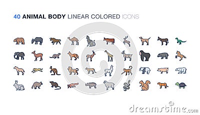 Animal body Linear Coloured Stock Photo