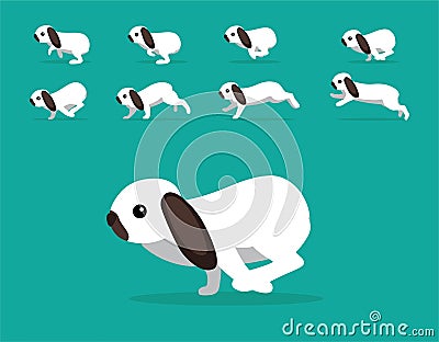 Animal Animation Sequence Rabbit Holland Lop Cartoon Vector Vector Illustration