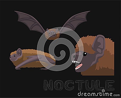 Bat Noctule Cute Cartoon Illustration Vector Illustration