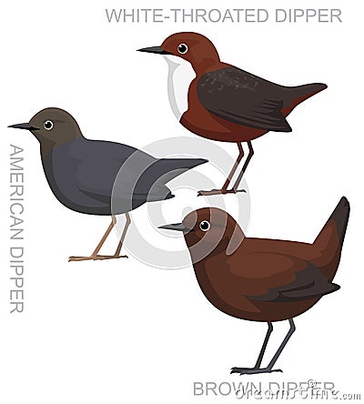 Cute Bird Dipper Set Cartoon Vector Vector Illustration