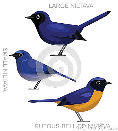 Cute Bird Niltava Flycatcher Set Cartoon Vector Vector Illustration
