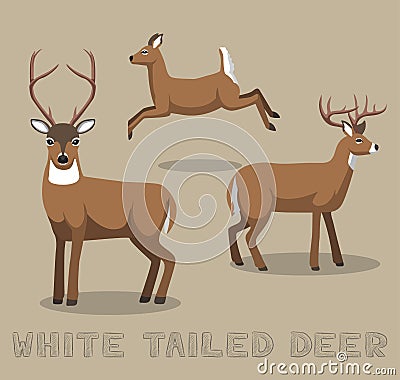 Deer White-tailed Cartoon Vector Illustration Vector Illustration