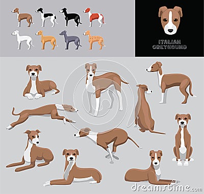 Dog Italian Greyhound Cartoon Vector Illustration Color Variation Set Vector Illustration