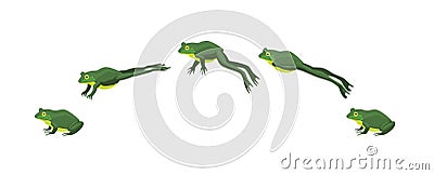 Frog Jumping Animation Sequence Cartoon Vector Illustration Vector Illustration