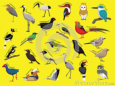 Asian Birds with Name Cartoon Character Set 1 Vector Illustration