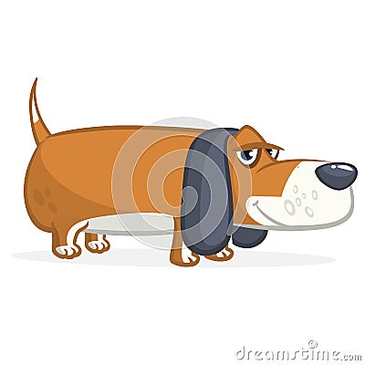 Cute Basset Hound dog cartoon. Vector illustration isolated on white background Vector Illustration
