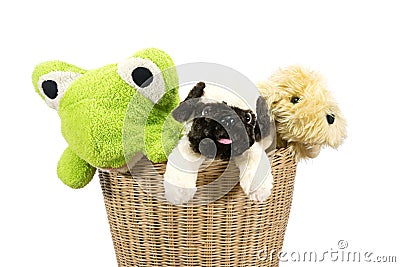 Animal dolls in basket Stock Photo