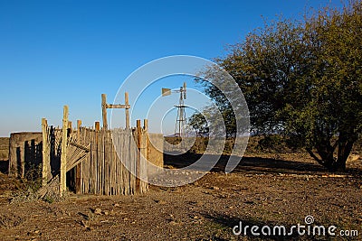 Animal drinking ponds under thorn trees Stock Photo